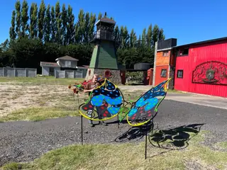 Butterflies beside the workshop.
