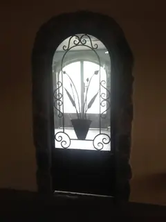 Ironwork door in backlight.