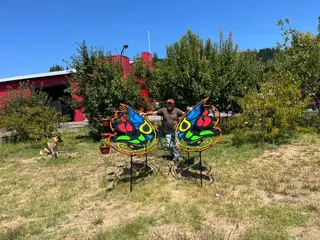 Colourful butterflies outdoors.